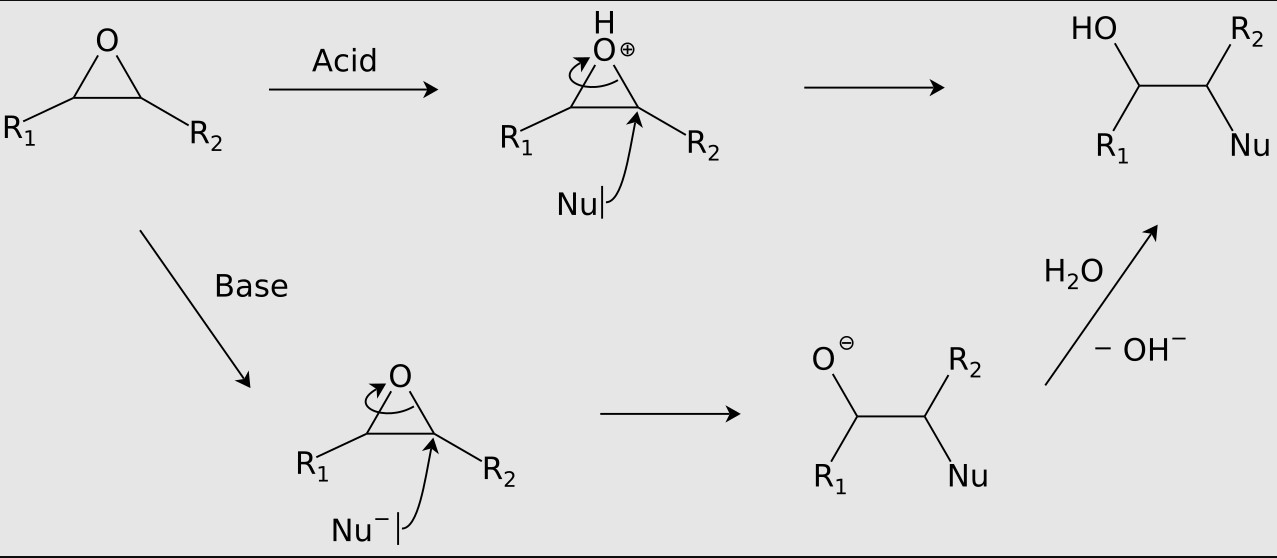 Difference Between Acid Hydrolysis And Enzymatic Hydrolysis