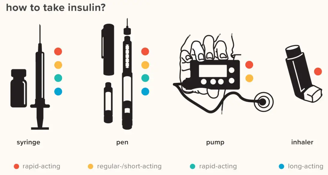 Difference Between Basal And Bolus Insulin Relationship Between