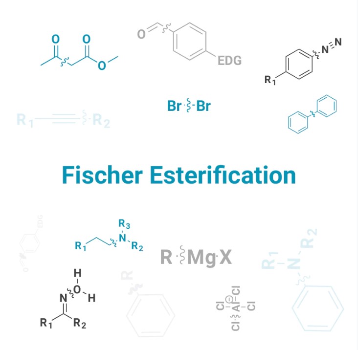 Difference Between Fischer Esterification And Steglich Esterification