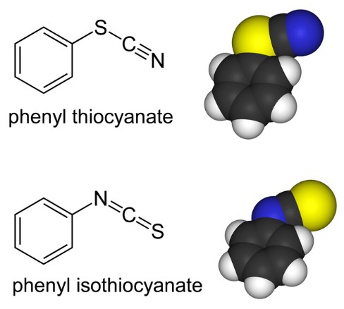 Chemical structures of thiocyanate and isothiocyanate