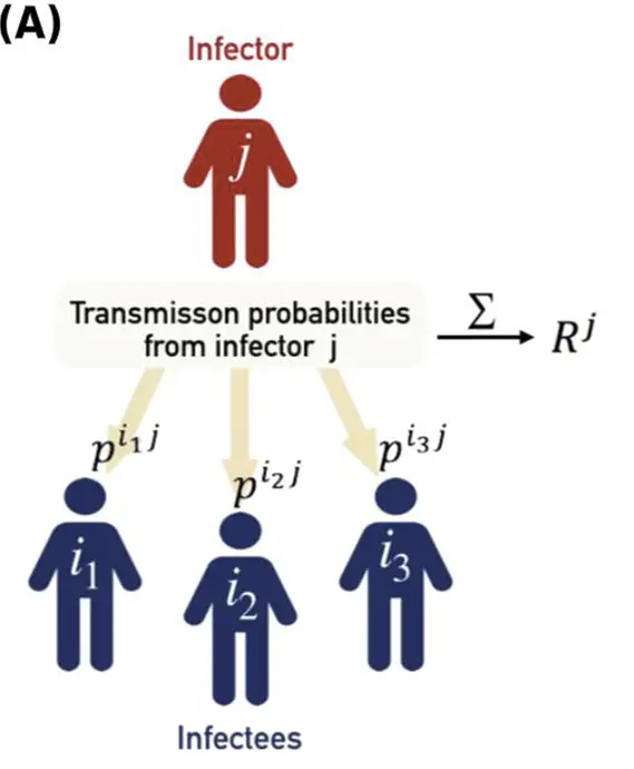 Difference Between Basic And Effective Reproduction Number