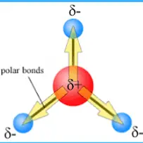 Difference Between Bond Dipole And Molecular Dipole