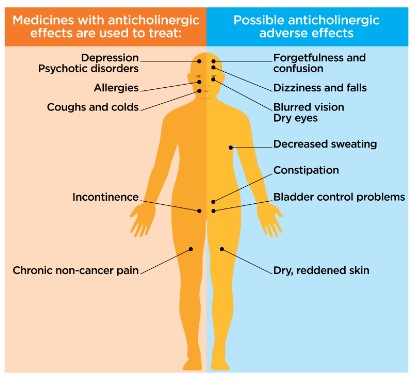 Difference Between Cholinergic And Anticholinergic