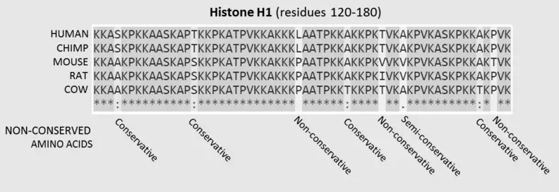 Difference Between Conserved And Consensus Sequence