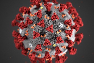 Difference Between Coronavirus And Sars