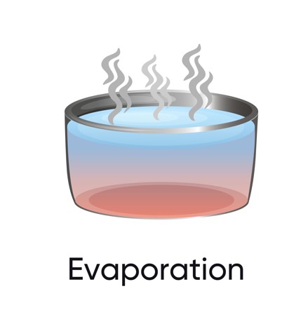 Difference Between Evaporation And Vs Vaporization