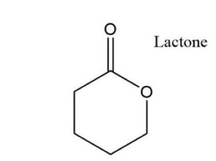 Difference Between Lactide And Lactone