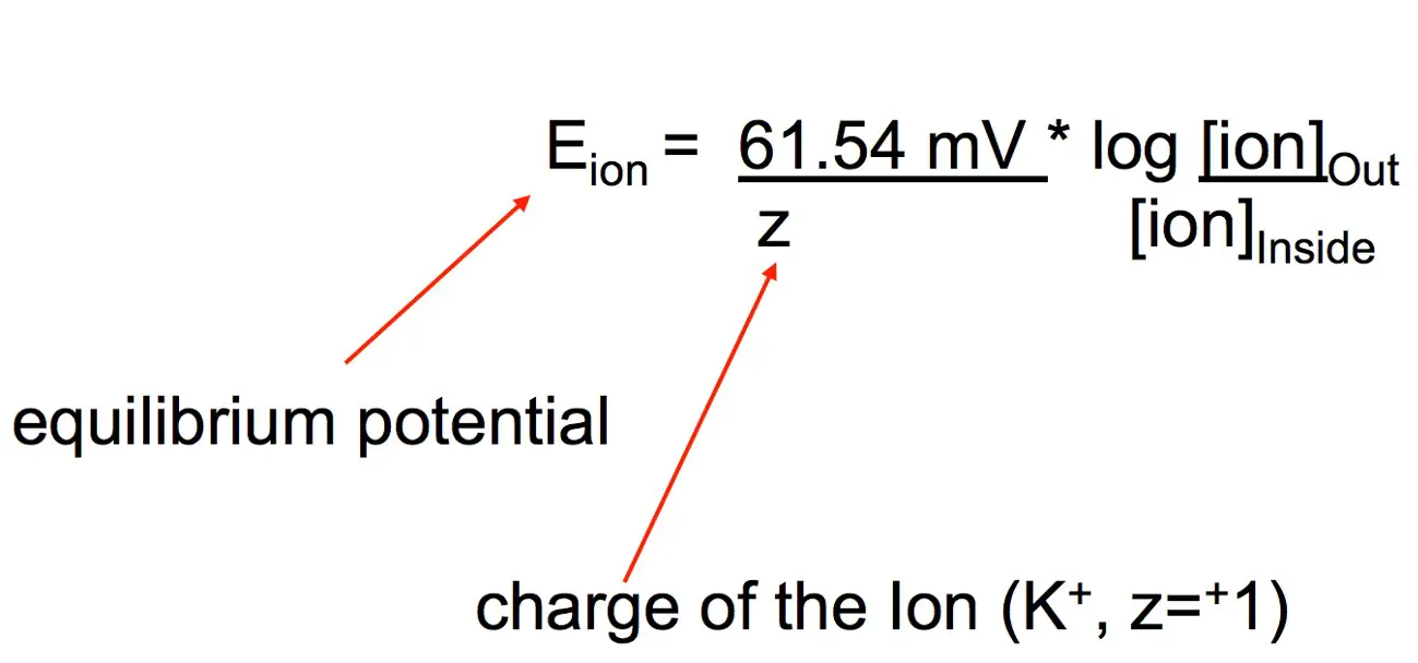 Difference Between Nernst Equation And Goldman Equation