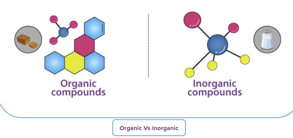 Difference Between Organic And Inorganic Sulfur
