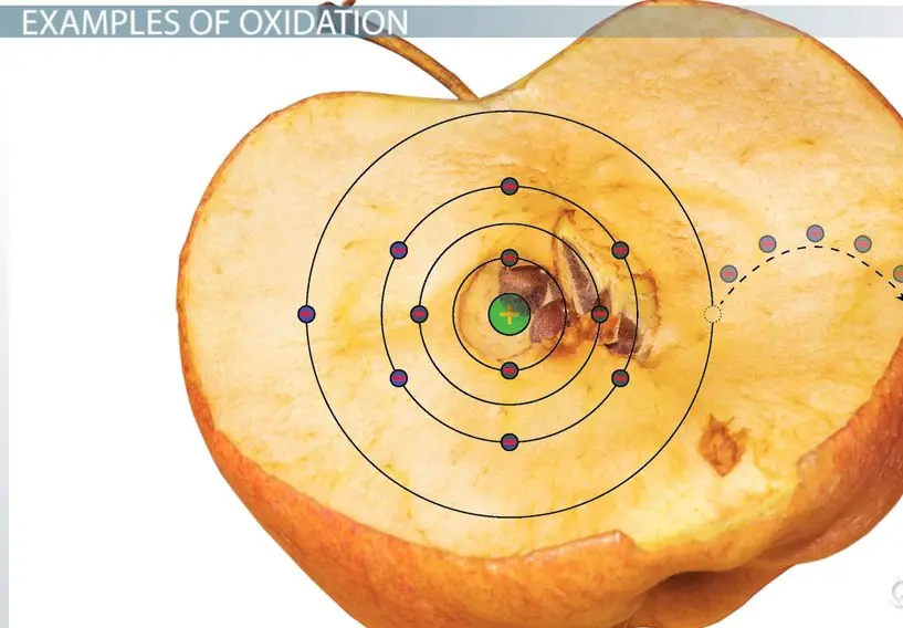 Difference Between Oxidation And Vs Reduction