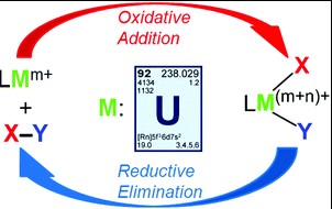 Difference Between Oxidative Addition And Reductive Elimination