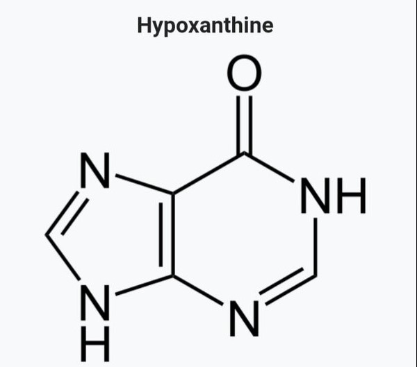 Difference Between Xanthine And Hypoxanthine