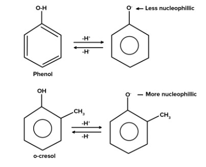 Differences between cresol & phenol