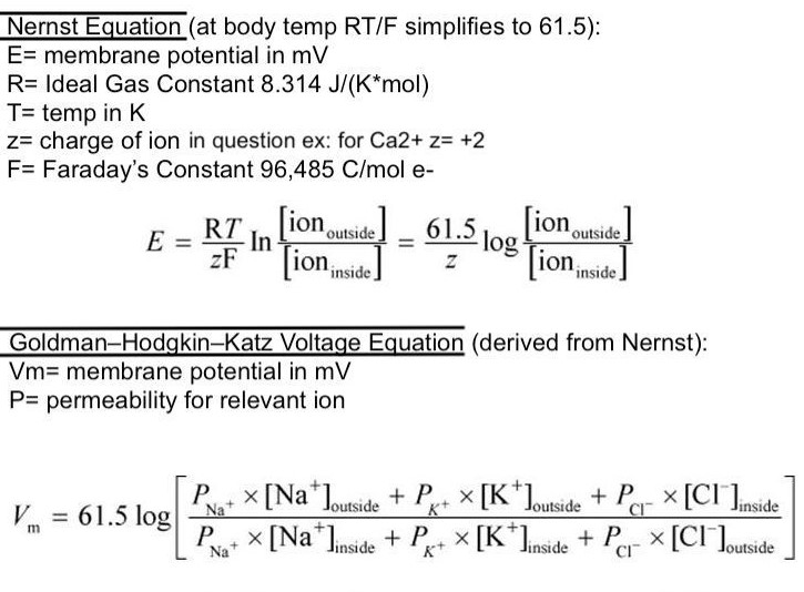 History of nernst equation and goldman equation