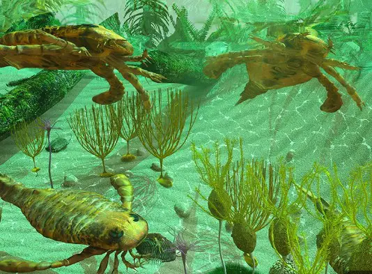 The cambrian explosion