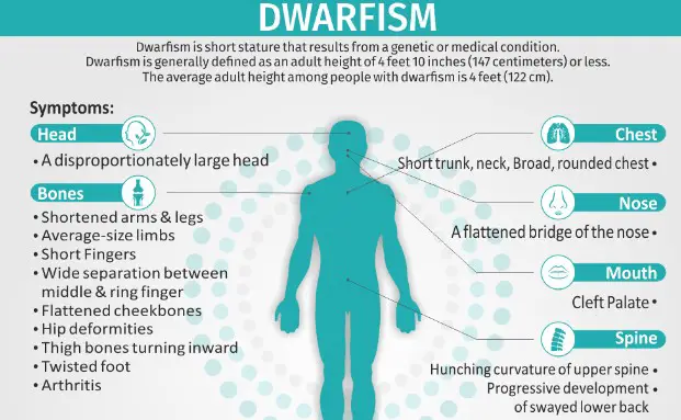 Causes of dwarfism and cretinism