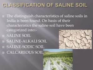 Characteristics of saline soils