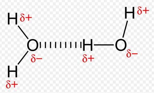 Comparison of salt bridge and hydrogen bond
