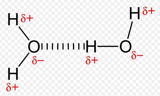 Comparison of salt bridge and hydrogen bond