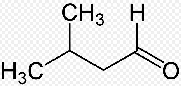 Difference Between Aromatic And Aliphatic Aldehydes