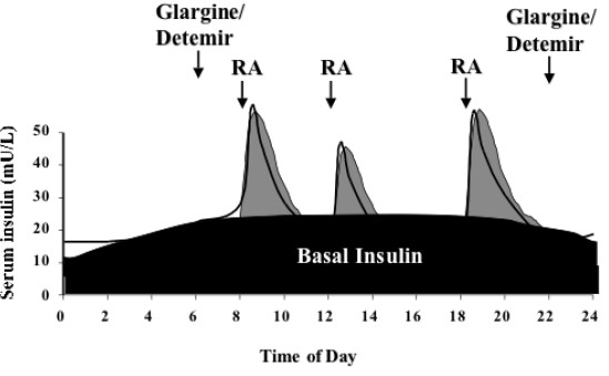 Difference Between Basal And Bolus Insulin