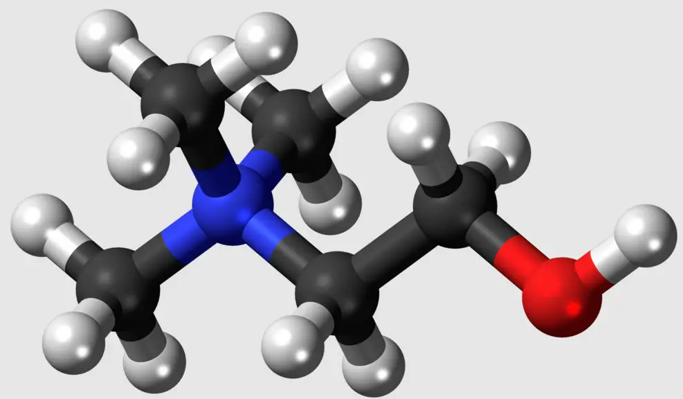 Difference Between Choline And Phosphatidylcholine