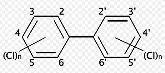 Difference Between Congener And Isomer
