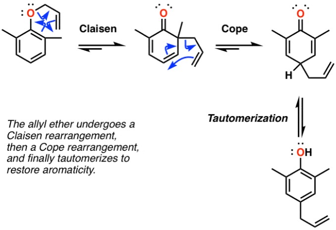 Difference Between Cope And Claisen Rearrangement