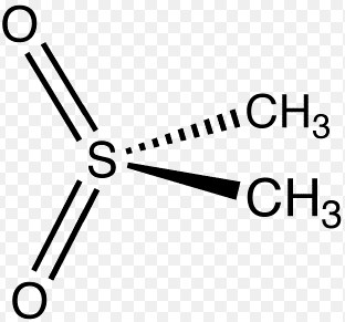 Difference Between Dmso And Msm