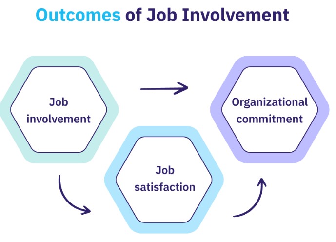 Difference Between Job Involvement And Organizational Commitment