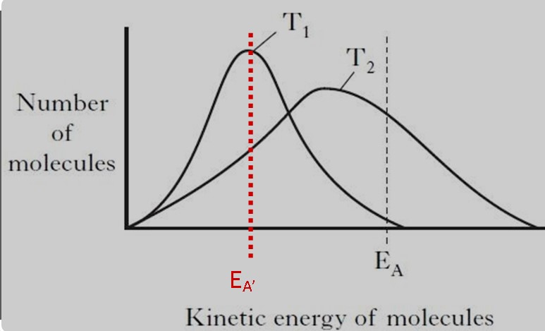 Difference Between Kinetic Energy And Activation Energy