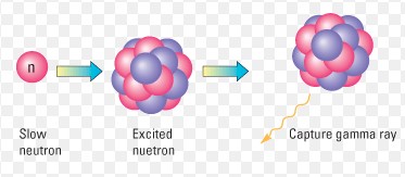 Difference Between Neutron Capture And Absorption