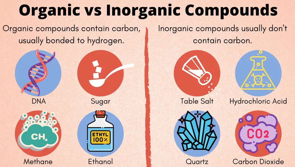 Difference Between Organic And Vs Inorganic Substances