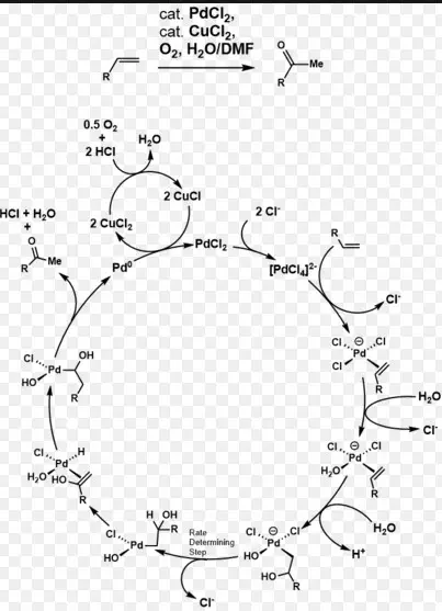 Difference Between Oxo And Wacker Process