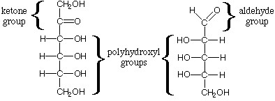 Difference Between Polyhydroxy Aldehydes And Polyhydroxy Ketone