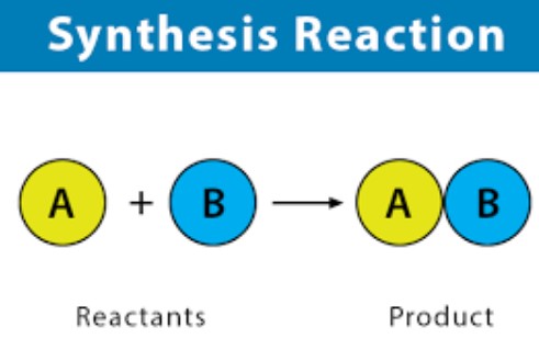 Difference Between Synthesis Reaction And Dissociation Reaction