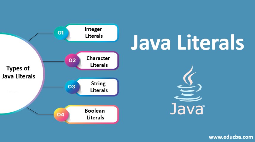 Difference Between Variables And Vs Data Literals In Java
