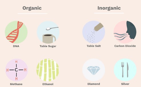 Difference between organic and inorganic substances