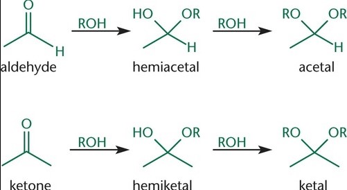 Differences between hemiacetal and hemiketal