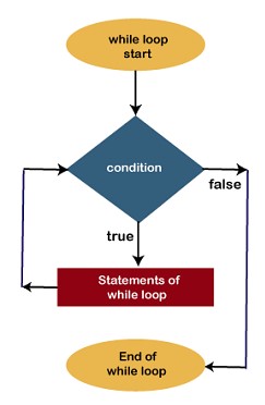 Differences between while and do while loops
