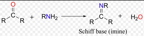 Differentiating between imine and schiff base