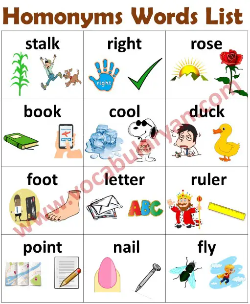 Examples of homonyms and homophones