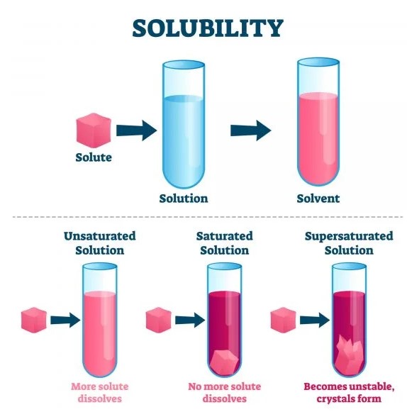 How do miscibility and solubility differ