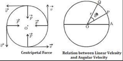 How linear velocity and angular velocity are related