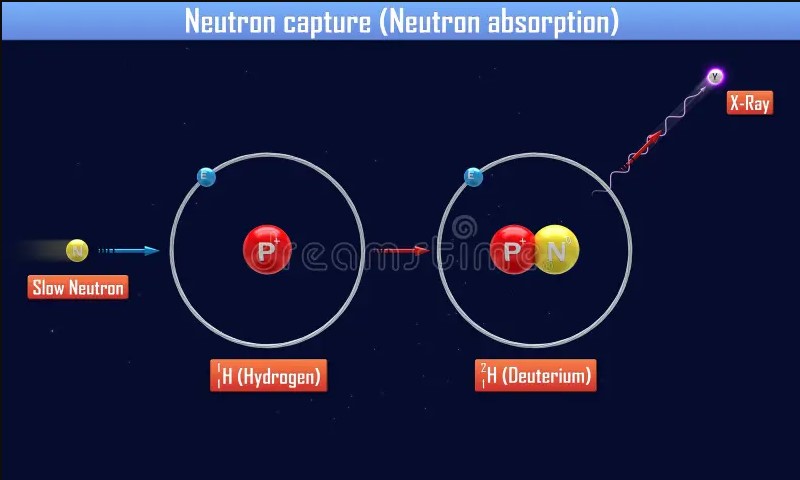 Neutron absorption