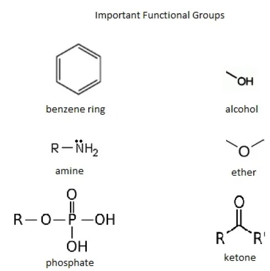 Overview of common functional groups and substituents