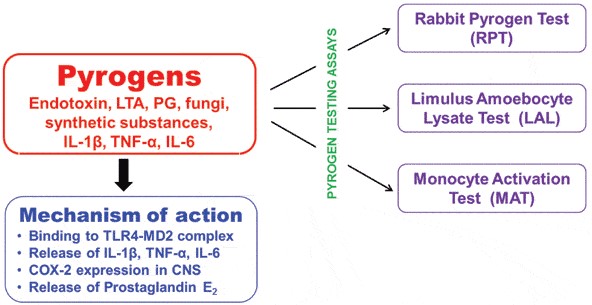 Overview of endotoxin and pyrogen