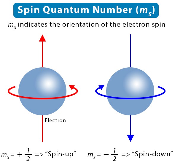 Overview of spin quantum number