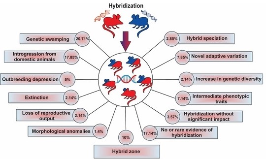 Overview of the benefits of hybridization