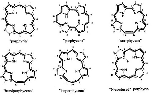Properties of porphyrin and protoporphyrin